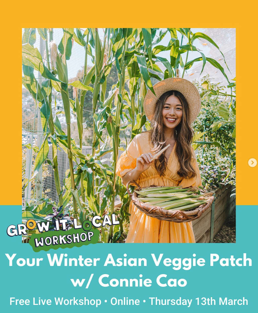 Connie Cao hosting winter veggie patch workshop online.